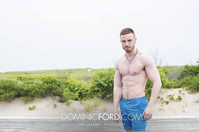 Fire Island: House Boy (Pt. 1) Image