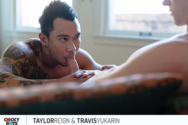 Taylor & Travis Image