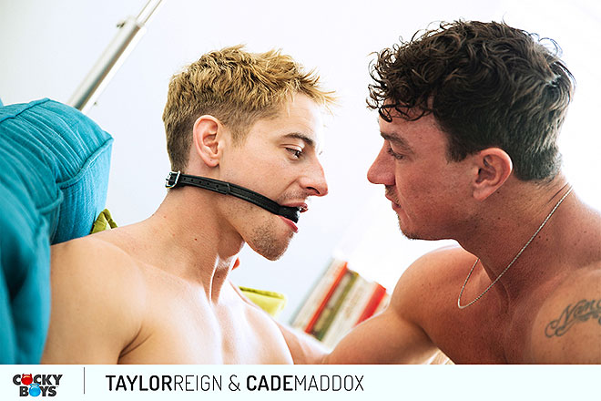 Taylor & Cade Raw Image