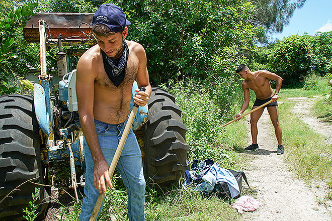 Working Up a Sweat Image